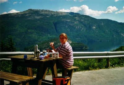 2001 06 19 I2 10 telemarksvei emy picnic small